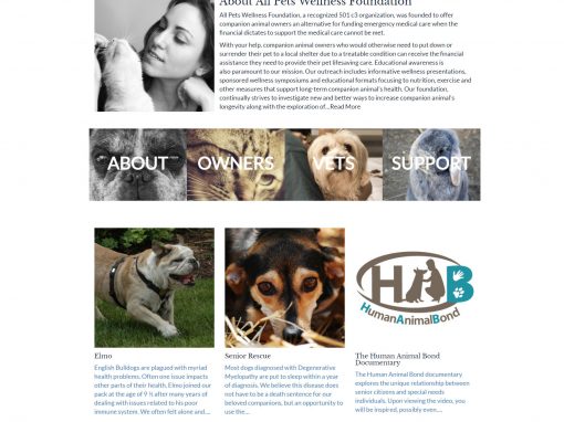 All Pets Wellness Foundation Website